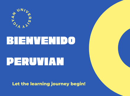 Obtener Adobe Flash Player